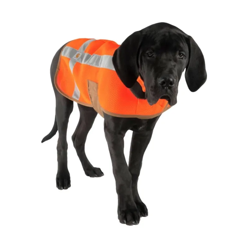 today-only-22-99-carhartt-dog-_688f5f3a3f553