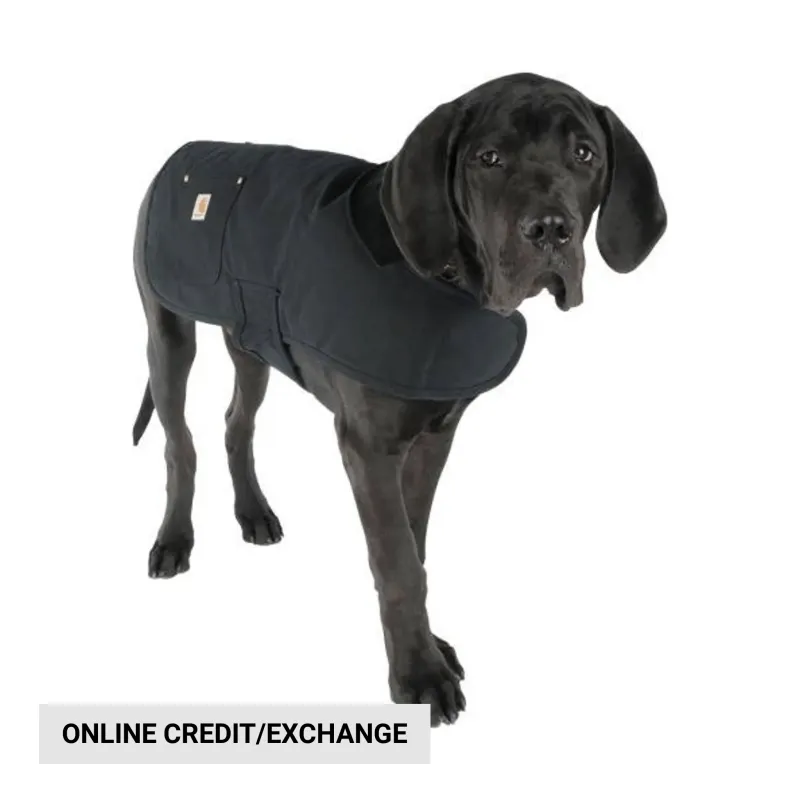 today-only-20-99-carhartt-firm_688f615f90934