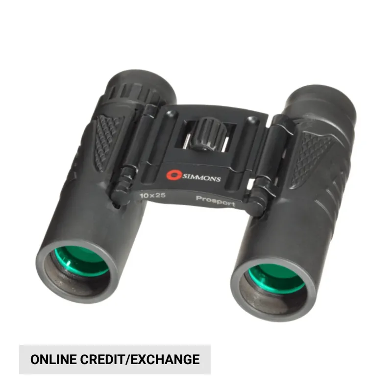 today-only-13-99-simmons-10x25_688f8f5ab078f