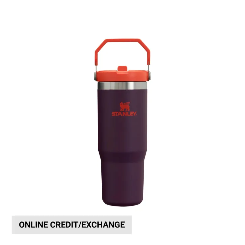 today-only-14-99-stanley-icefl_688fb47457b78