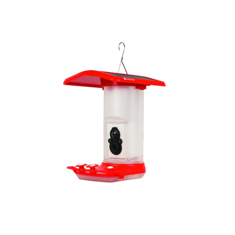 today-only-76-99-feathersnap-s_689015f620b7d